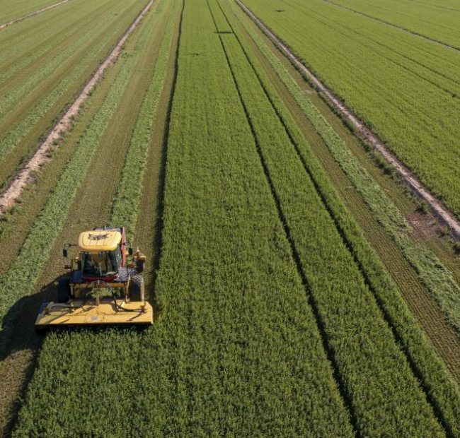 Bureaucrats can’t invoke free speech rights to shut down farmer’s lawsuit: California Supreme Court