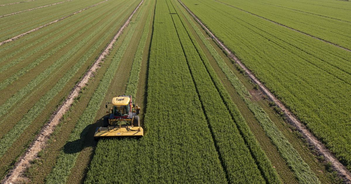 Bureaucrats can't invoke free speech rights to shut down farmer's lawsuit: California Supreme Court arming 2