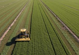 Senate farm bill failure stalls year-round E15 gasoline plan