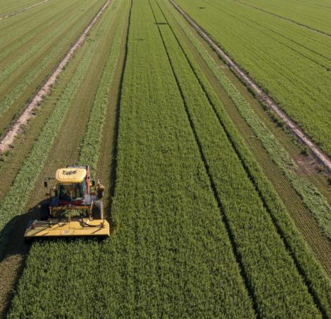 Senate farm bill failure stalls year-round E15 gasoline plan