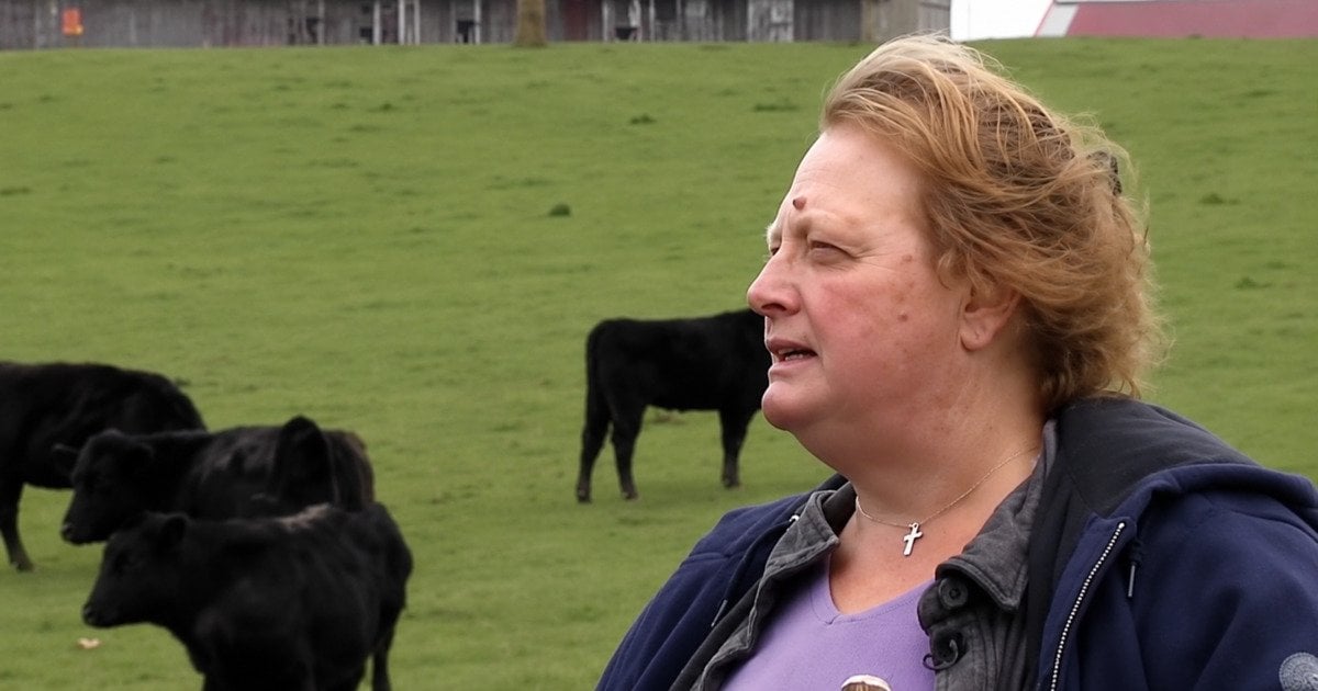 “Kick Rocks And Don’t Come Back” – Farmers Reject $26 Million Offer To Build Data Centers On Land article image 82 1 1200x630 1