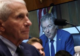 Senate committee votes in favor of holding Fauci in contempt of Congress
