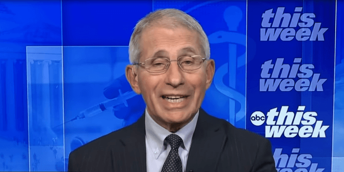 Senators Hold Fauci in Contempt, Advance to U.S. Attorney auci ABC News 1 e1639482620451