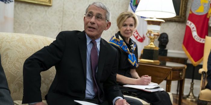 Fauci’s Wifey Flips Off Reporter after Contempt of Congress Vote auci Deborah Birx AP e1597066354211