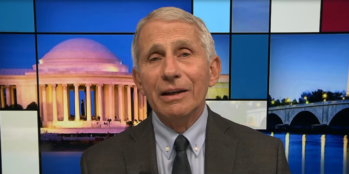 Fauci Could Face Lifetime Punishment After Contentious Senate Hearing auci msnbc e1661276725796