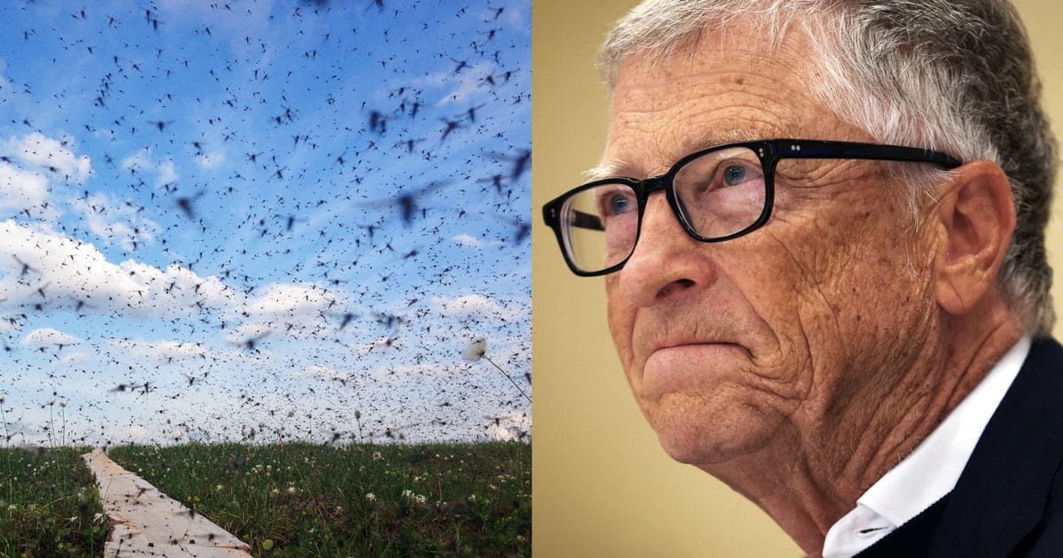 Biologist: Bill Gates ‘Destroyed’ Entire Ecosystem with Mosquito Agenda… bill gates mostito swarm malaria 2