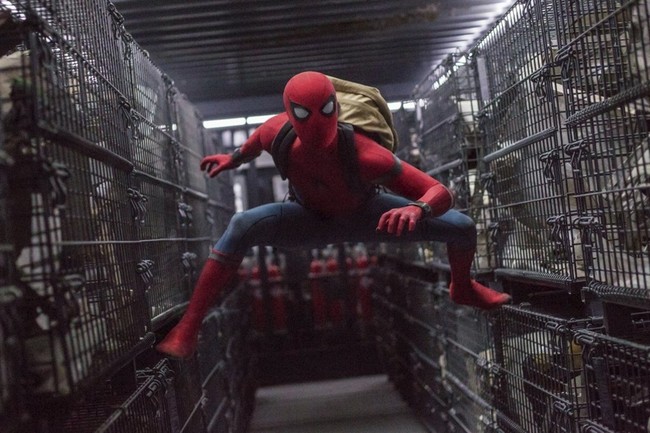Homeless Hero?: Elizabeth Warren Wonders If Spider-Man Can Afford a Place to Live in NYC c1154108 5cfd 4dd6 859a f8bf93353f8f
