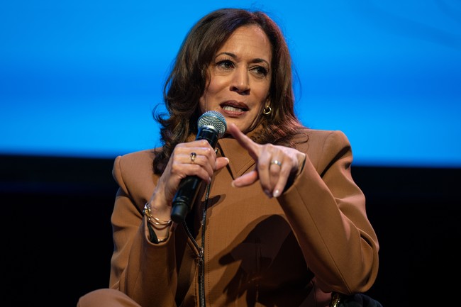 Kamala Harris' Comments Should Trouble Anyone Looking Ahead to 2028 c8