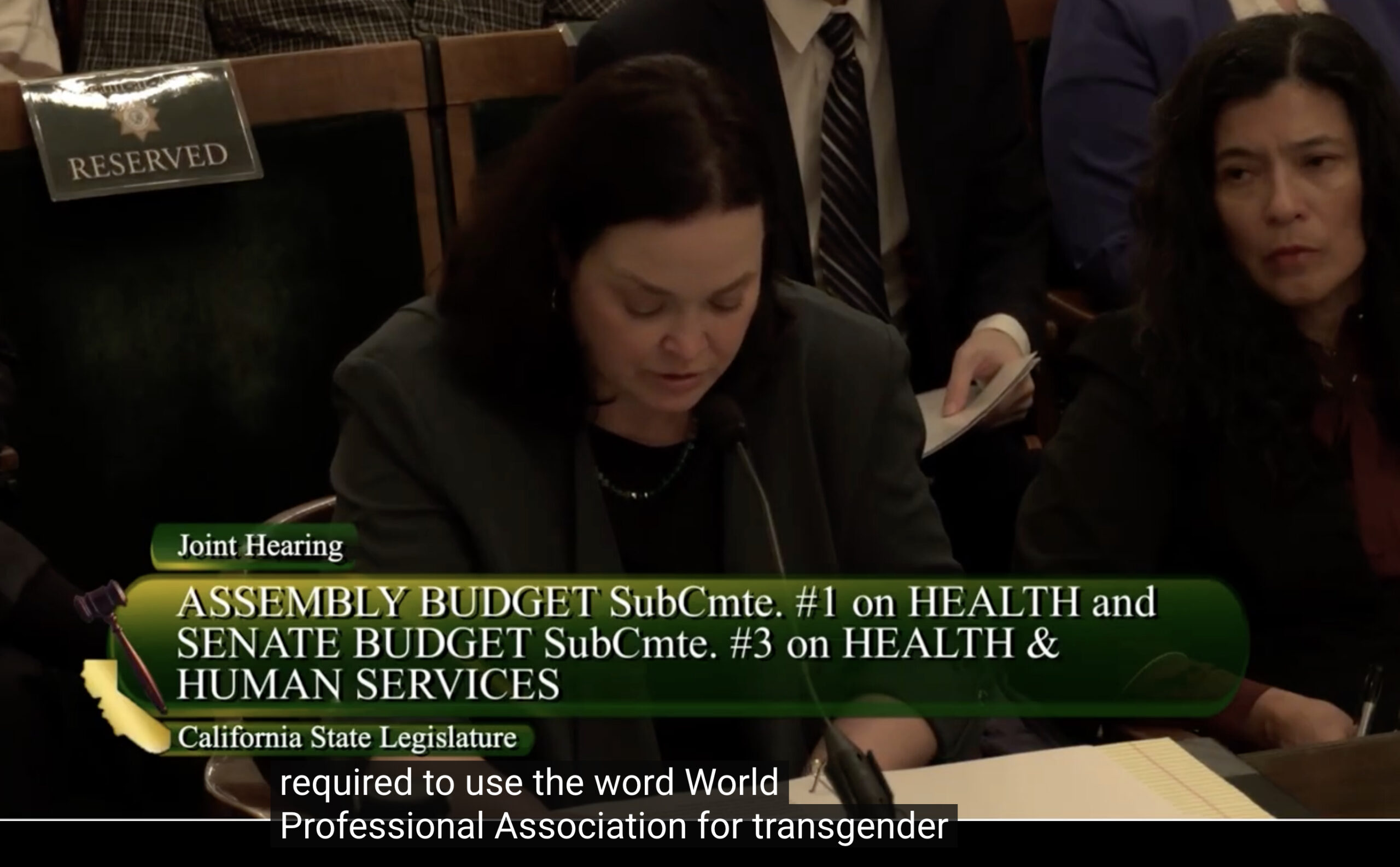 Suddenly The Radical Pro-Trans Medical Organization WPATH Tells A Court That It’s Just Guessing ca leg hearing scaled 1