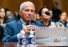 Fauci privately warned of miscarriage risk linked to COVID vaccine while publicly claiming no issues, newly released texts show