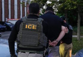 ICE planning to outfit officers with gloves that deliver ‘bee sting’ electric shocks