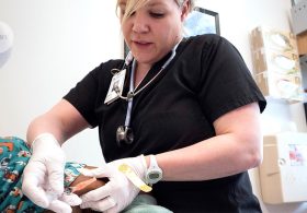 Trump wants MMR vaccine split up: the science behind why it’s a bad idea