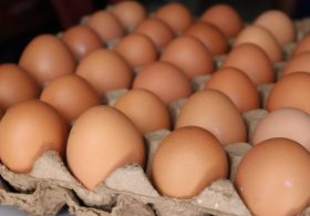 Class I Salmonella Egg Recall: Full List of Recalled Eggs, Brands, States and Codes