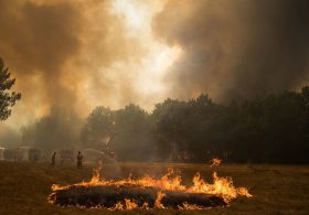 France detains hundreds over suspected wildfire offenses