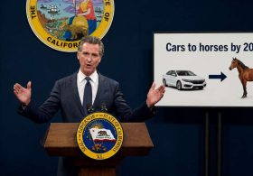Newsom Signs Law Requiring All Cars To Be Horses By 2030