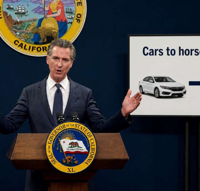 Newsom Signs Law Requiring All Cars To Be Horses By 2030