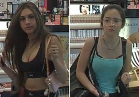 Long Island Barbie-wannabes swipe Sephora goodies, Coach bags in sticky-fingered spree: cops