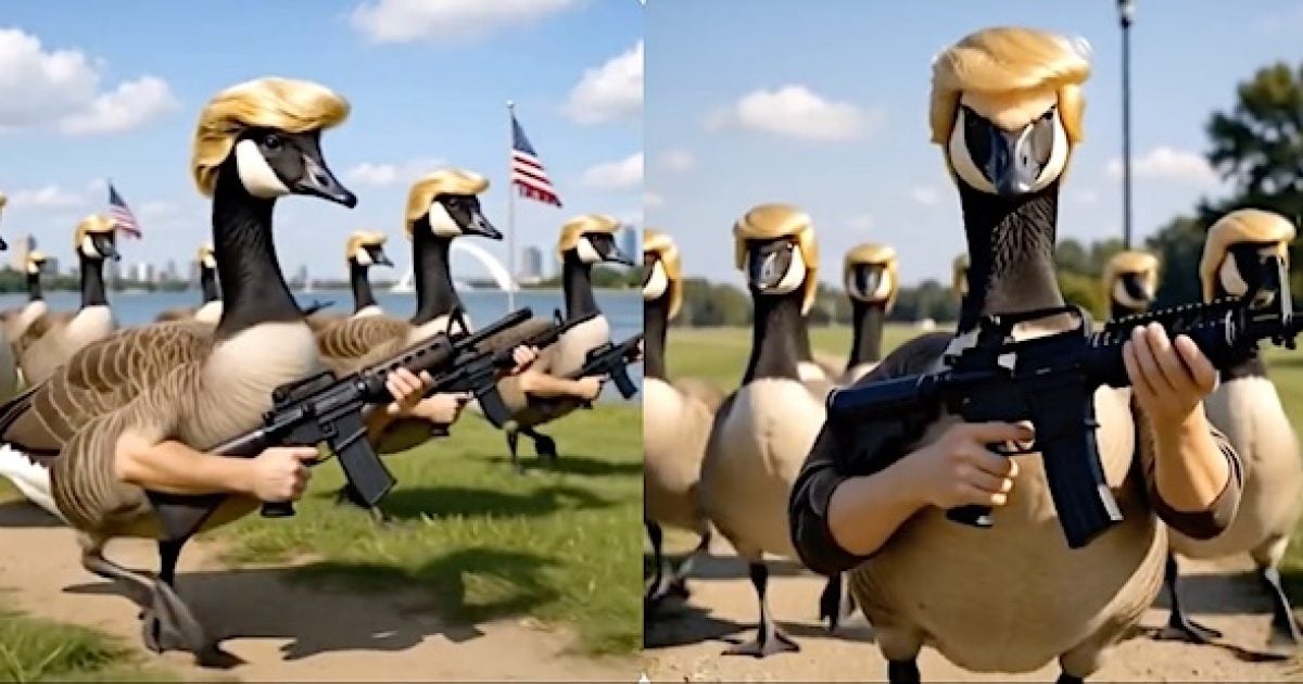 ‘Pouring into the United States’: Trump urges companies in Canada to move to America immediately donald ducks trump lake america guns jpg 1200x630 1
