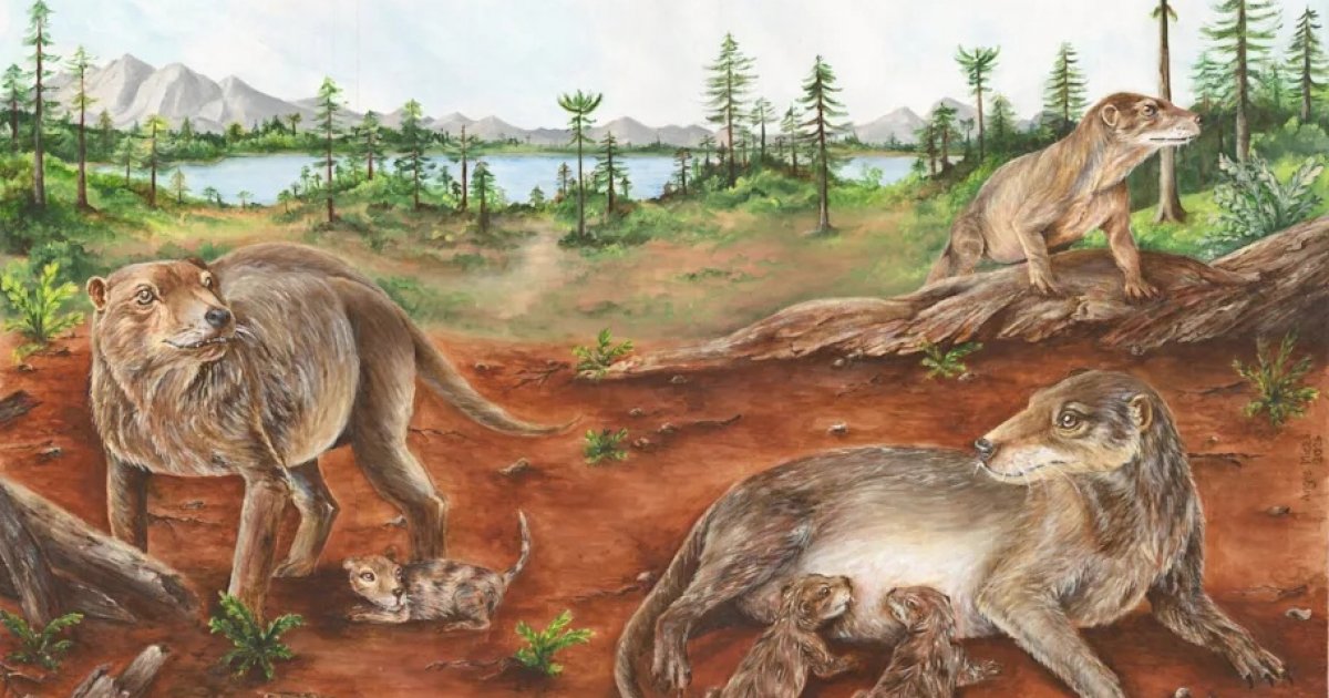 Did Mammals Give Birth To Live Young 236 Million Years Ago? Fossil Discovery Explained e reconstruction group chiniquodon theotonicus individuals pregnant