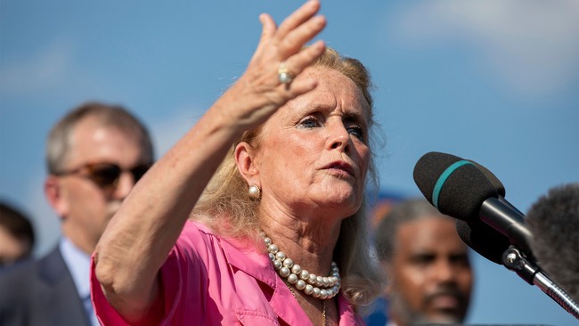 Why Nobody Likes YOU: Mean, Haggard, Wrinkled Debbie Dingell's Swipe at Natalie Harp Goes SO Wrong e686