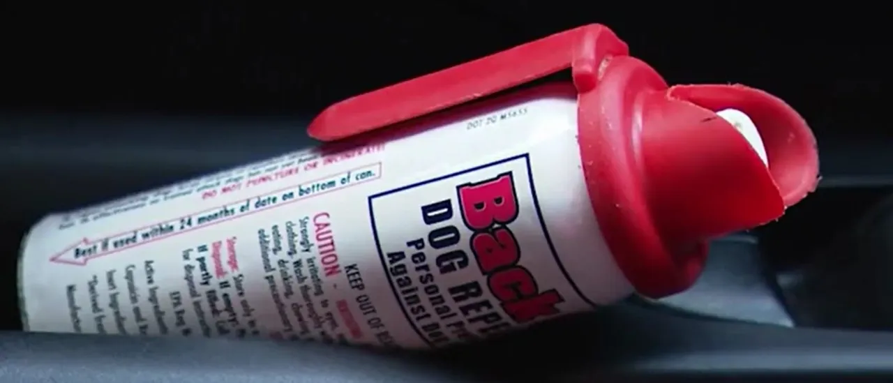 Carjacker Finds Out The Hard Way That ‘Arms’ Don’t Always Mean Guns eatured 28