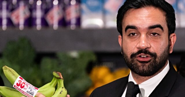 Immigrant Grocery Store Owners Sue NY Mayor Mamdani over Socialist Grocery Scheme government groceries 640x335 1