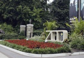 Welcome to the woke zoo: DEI, ‘gender equity’ and climate activism infiltrate Smithsonian