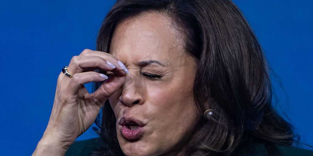How Kamala Harris accidentally sold the SAVE America Act how kamala harris accidentally sold the save america act 1