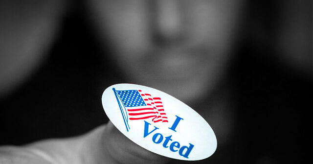 Dem Michigan Candidate Sean McCann Believes Nonsensical to Question Voting Systems Despite Challenging Before i voted sticker voting booth stock casey robertson unsplash 640x335 1