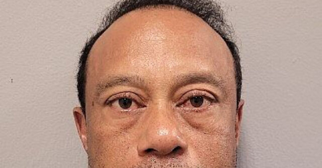 Some Fans Concerned About Tiger Woods After Rare Video Appearance ice via Getty Images 640x335 1