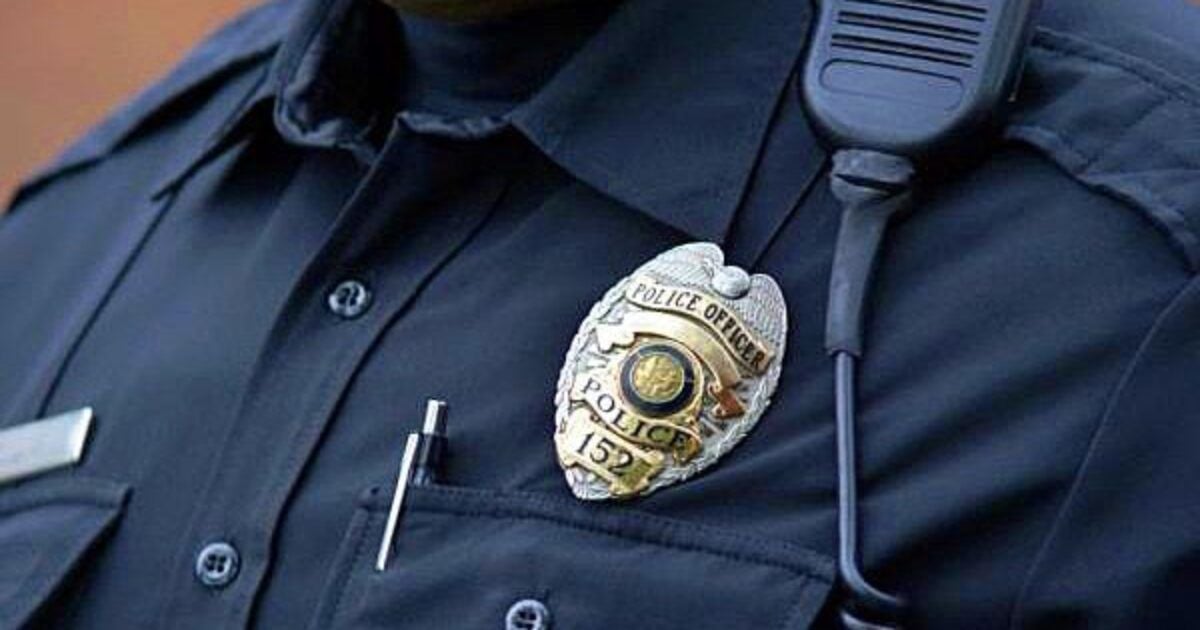 ‘Sounds like overreach to me’: Municipal court rules on locations where federal officers can operate icer badge 600 1200x630 1