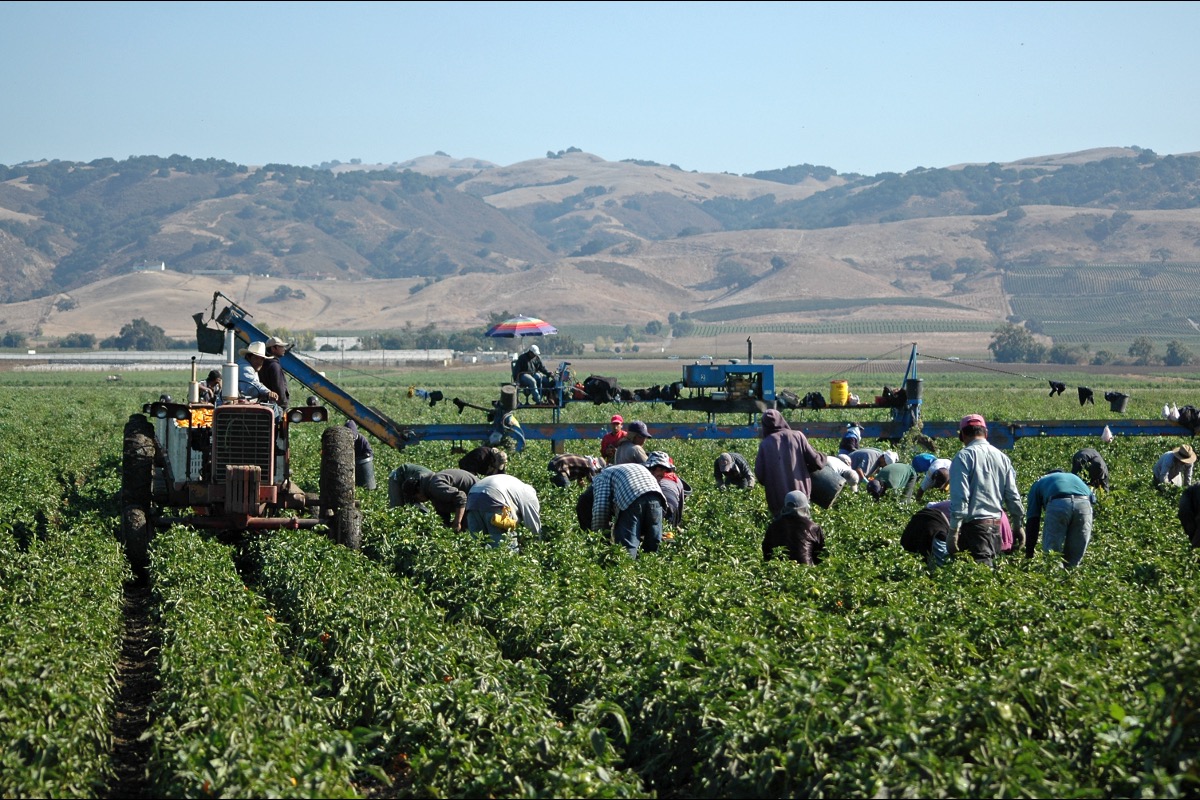 Congressional Republicans Push Amnesty for Illegal Farmworkers ield 081026 Getty 157189463