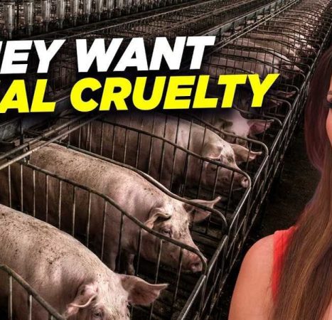 This bill claims to ‘Save Our Bacon.’ It does the opposite