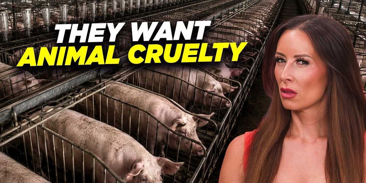 This bill claims to ‘Save Our Bacon.’ It does the opposite image 238
