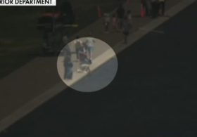 Trump Shares Reflecting Pool Court Filing With Interviews From National Park Employees Who Saw David Hearn “Violently” Ripping Sealant Out
