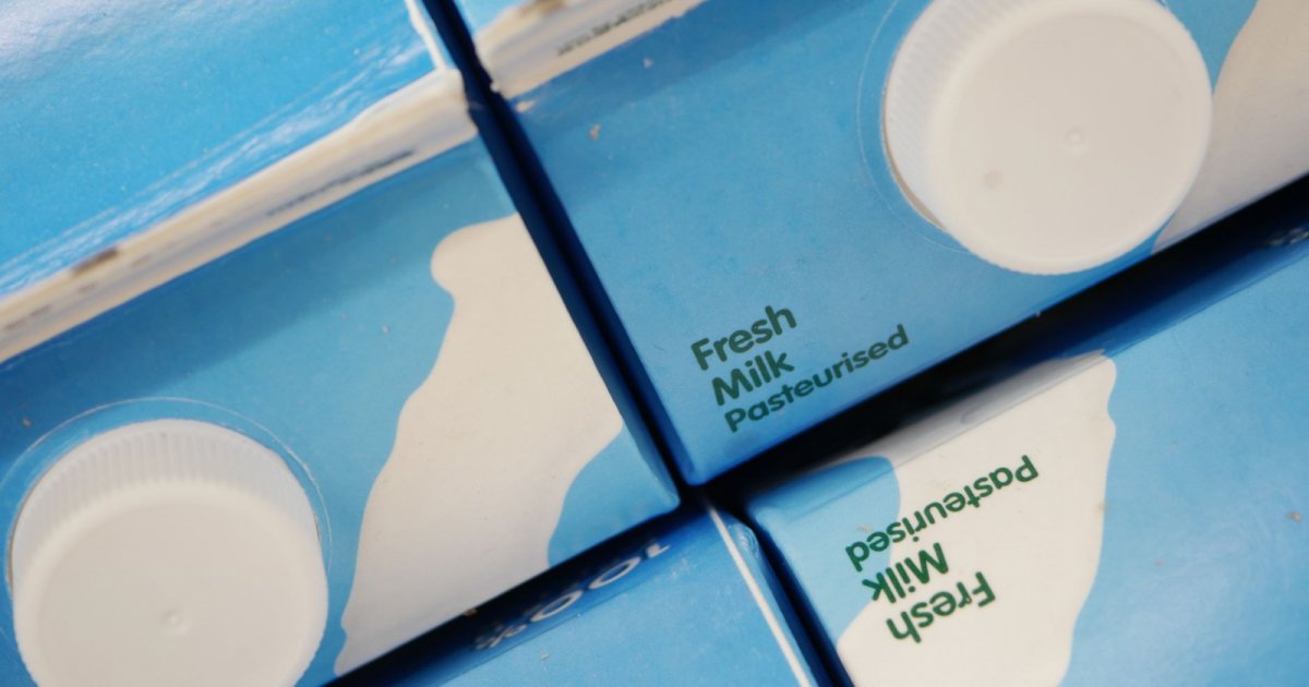 India's Milky Mist IPO Emerges Unusually Big, Crosses 1.06 Times Subscription As Retail Demand Outpaces QIB Bids ipo