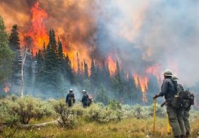 Wildfire Races Through Western Canada, Forcing More Than 20,000 to Flee Overnight