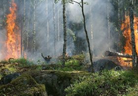 Bug Fire Explodes Past 6,500 Acres as Evacuations Ordered in Nevada