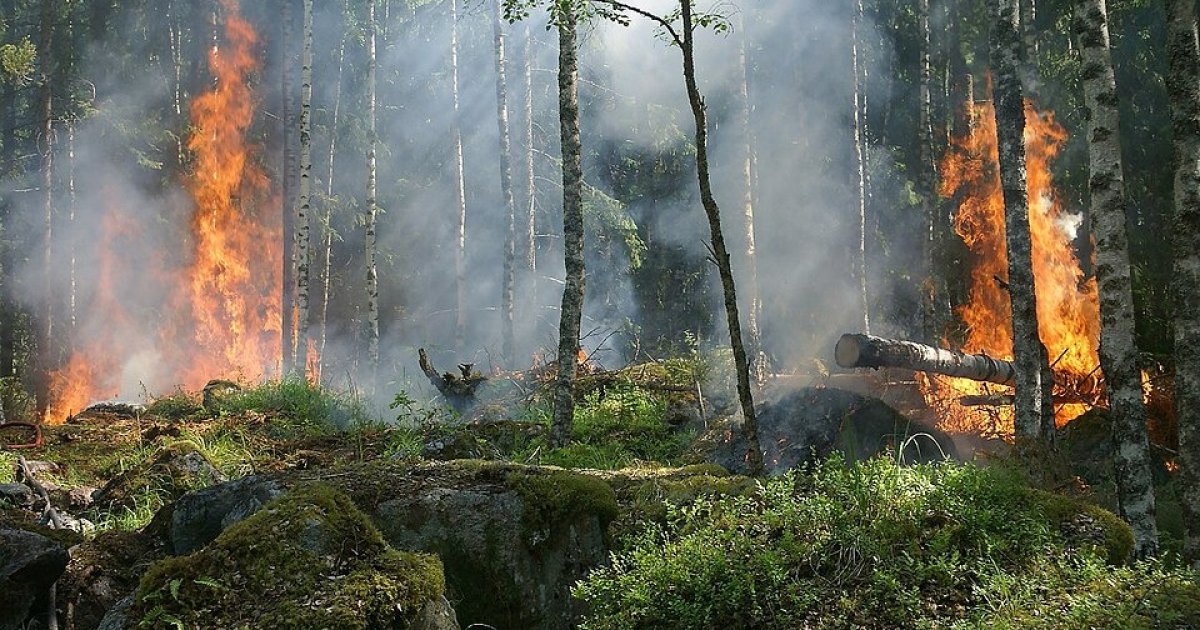 Washington Wildfires Update: Spokane Fires Force 60,000 Evacuations As 600 Homes Burn ire 3