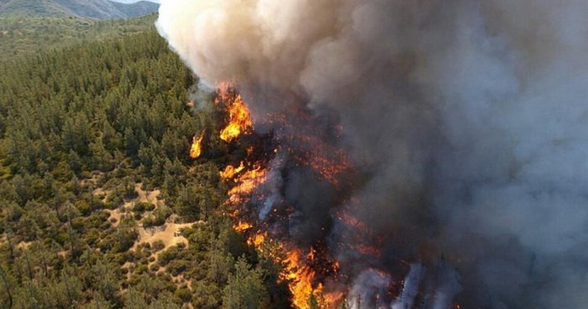 Gann Fire Map: Evacuation Zones, Road Closures and Latest Updates As California Wildfire Grows to 1,400 Acres ire 4