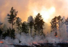 Big Sur Fire Map: Evacuation Zones, Highway 1 Closures and Latest Updates