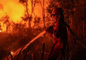 As El Niño Dries Indonesia, Wildfires Intensify