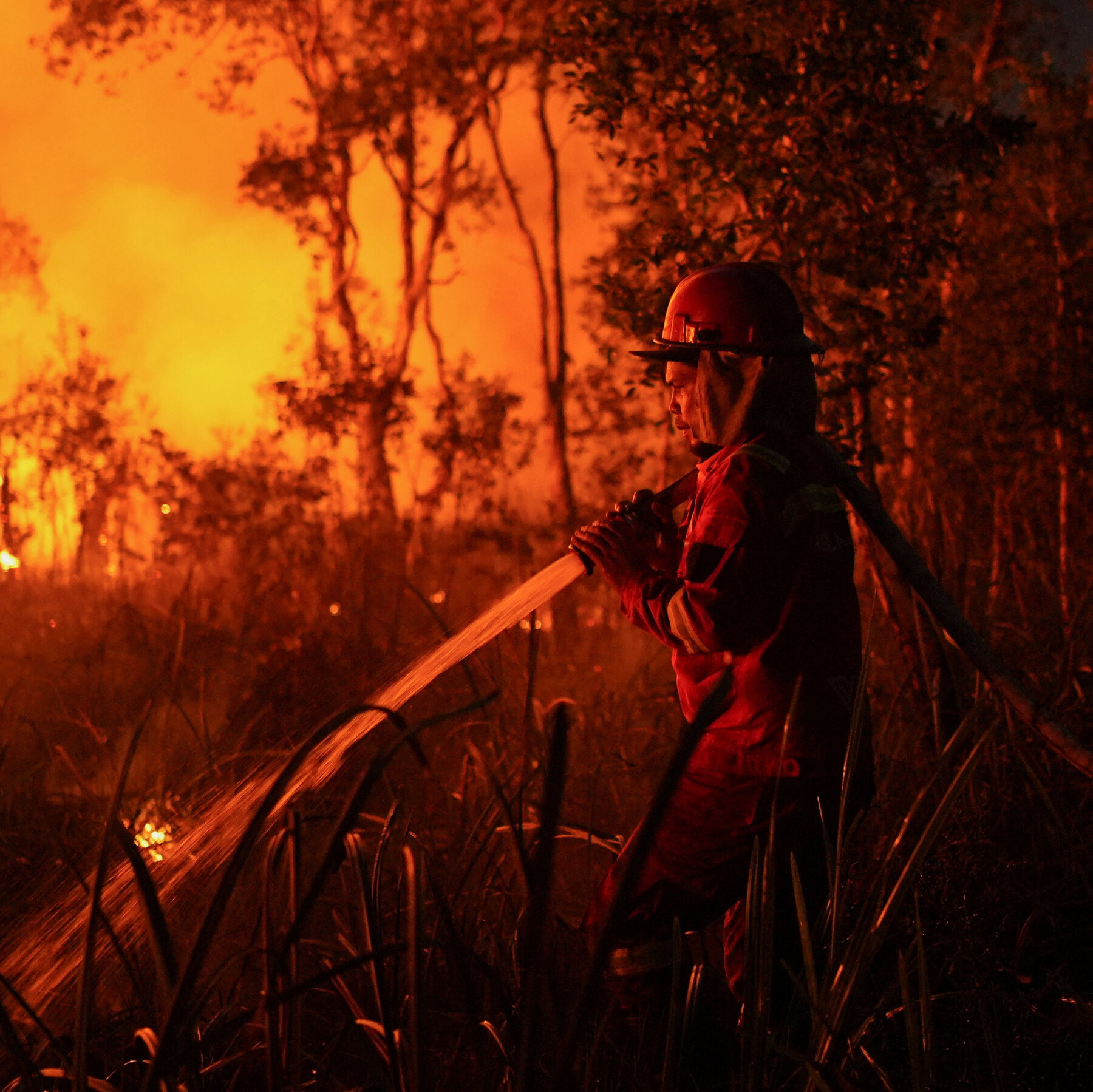 As El Niño Dries Indonesia, Wildfires Intensify ires pbzg mediumSquareAt3X