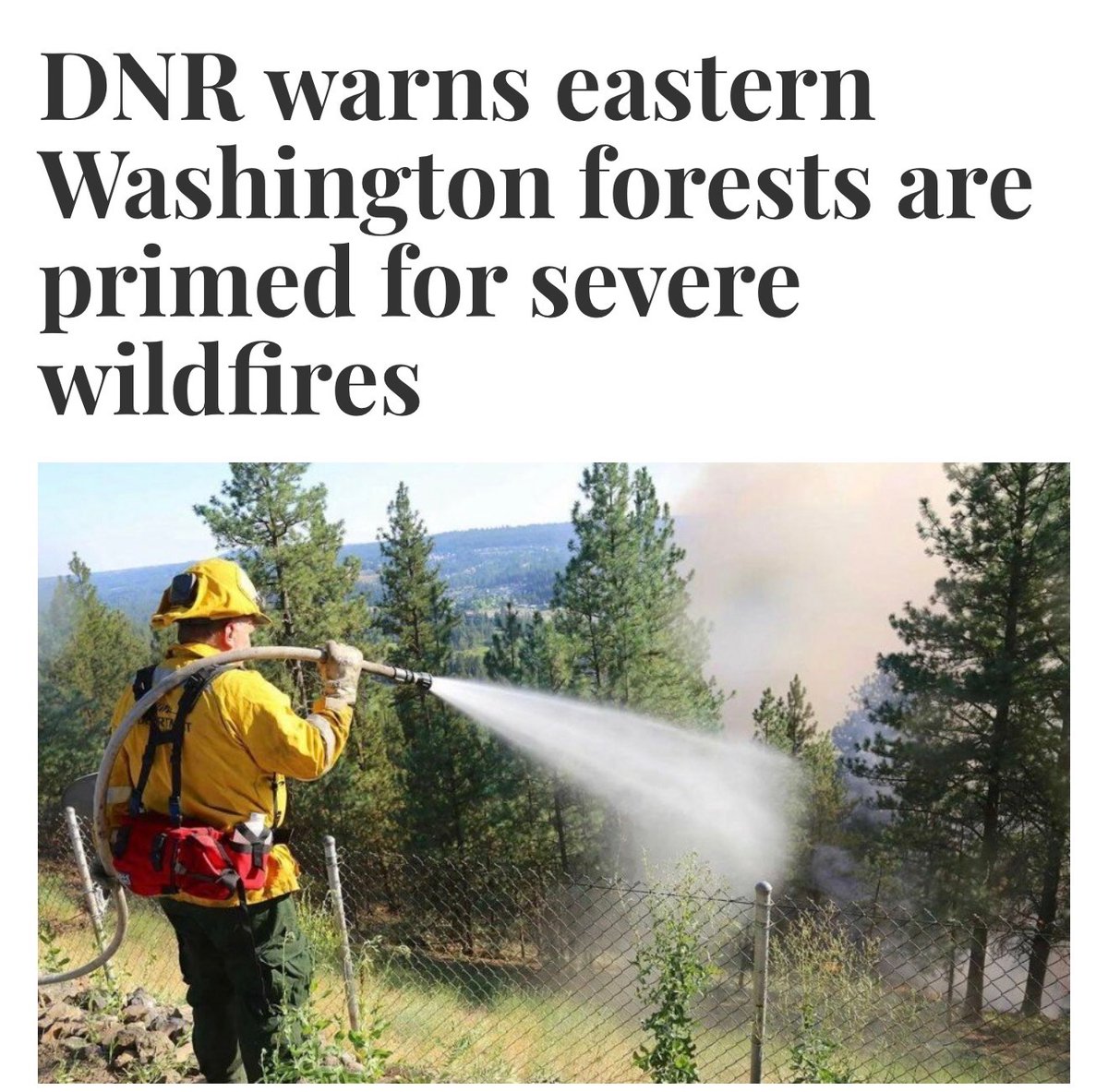 We’re now seeing is almost an exact replica of the Palisades fire in Washington… kN