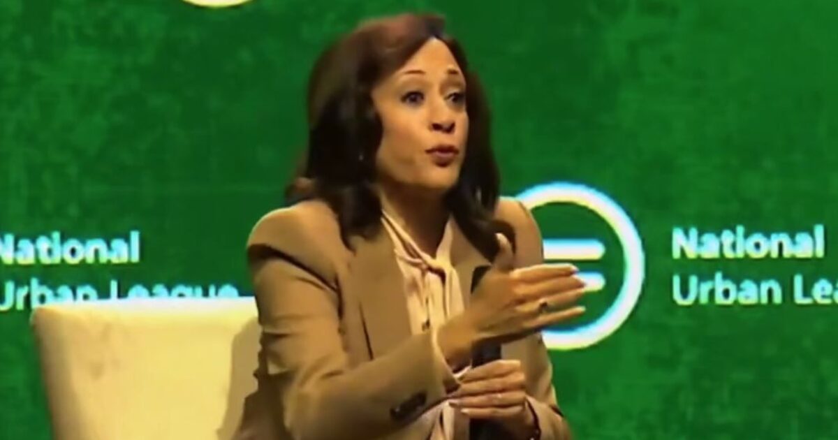 Dolt Kamala Harris Promises to Destroy America If Elected – Including Expanding SCOTUS, Dump the Electoral College, Give DC and Puerto Rico Statehood (VIDEO) kamala urban league 2 1200x630 1