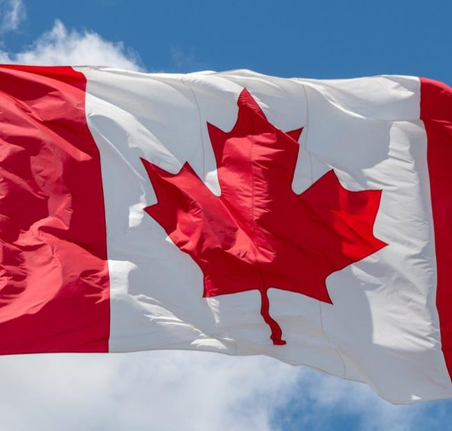 Canadian Broadcasting Corporation tells staff not to refer to 9/11 as terror attacks in coverage