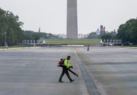 Trump posts examples of alleged Reflecting Pool vandalism amid push for Pirro to revisit decision