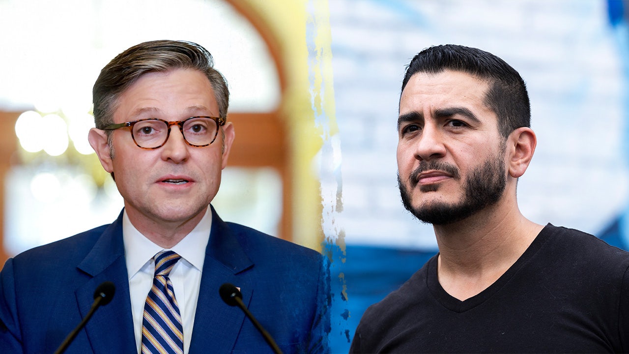 Johnson turns Democrats’ socialist civil war into new weapon for midterms mike johnson abdul el sayed