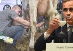 MILK MONEY: How Mark Carney chose the dairy cartel — and China — over a Trump trade deal