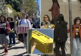 Activists descend on billionaire Chris Larsen’s San Francisco mansion over Flock cameras